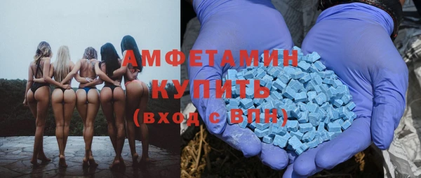 шишки Вуктыл