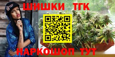 гашик Жуковский