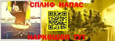 гашик Жуковский