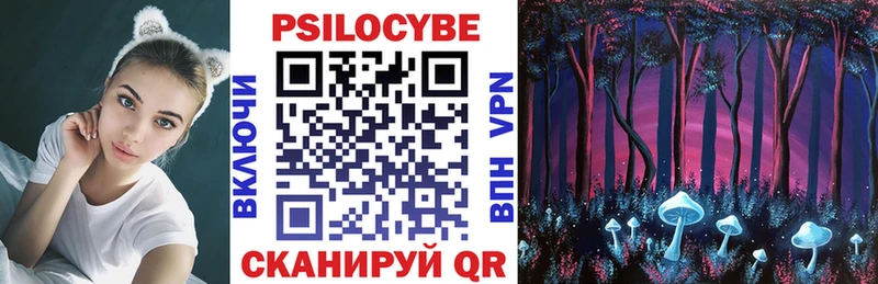 mega tor Майский Галлюциногенные грибы Psilocybe