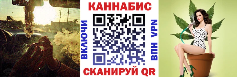 Канабис семена  Майский 